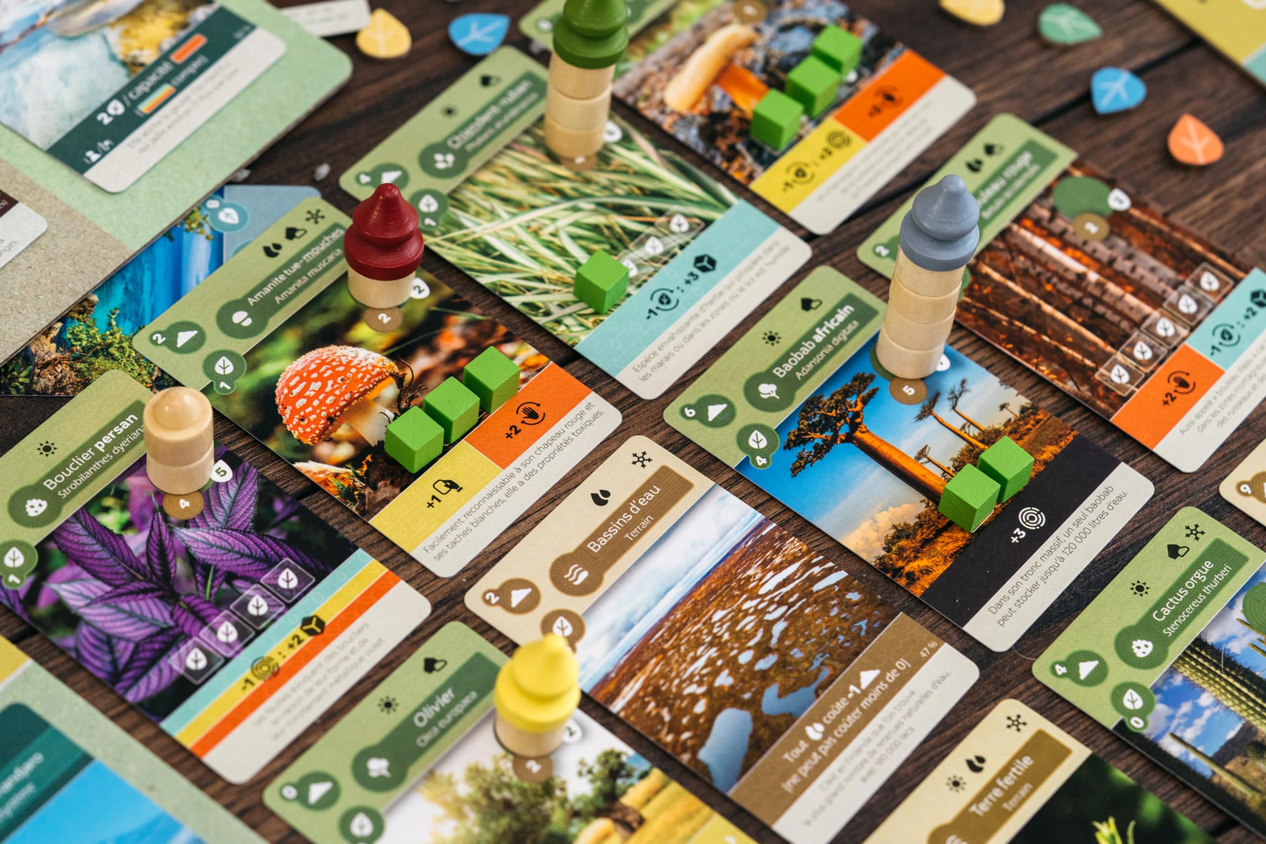 Lucky Duck Games - Ziemia | Wersja francuska | Gra planszowa | Gra planszowa | Od 14 lat | 1 do 5 graczy | 45-90 minut