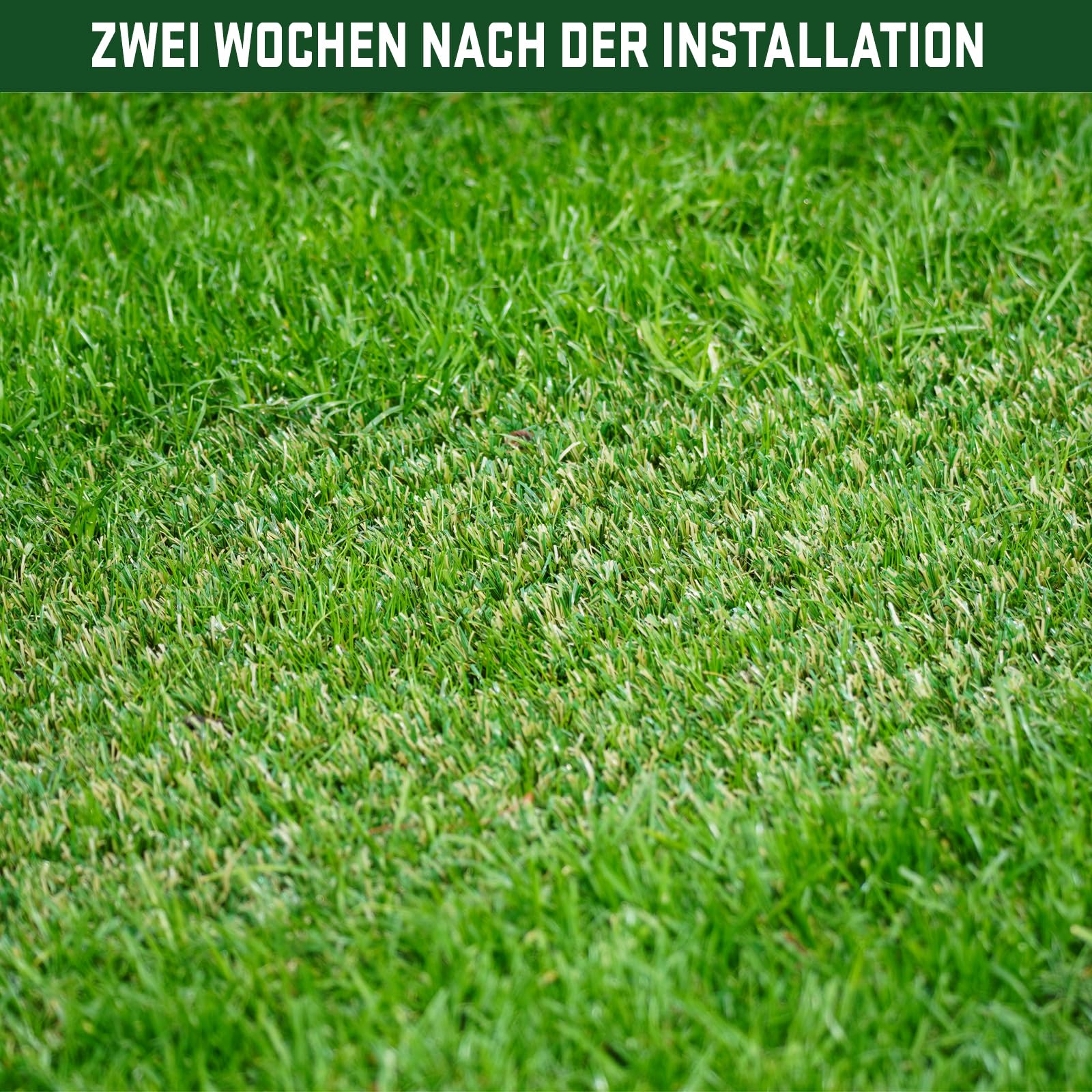 Hybridgras - Rasenfliesen aus Hybridgras für den Außenbereich (1x5m) - Strapazierfähige Grasfliesen gegen Rasenlücken - Flexibler Kunstrasen für Garten