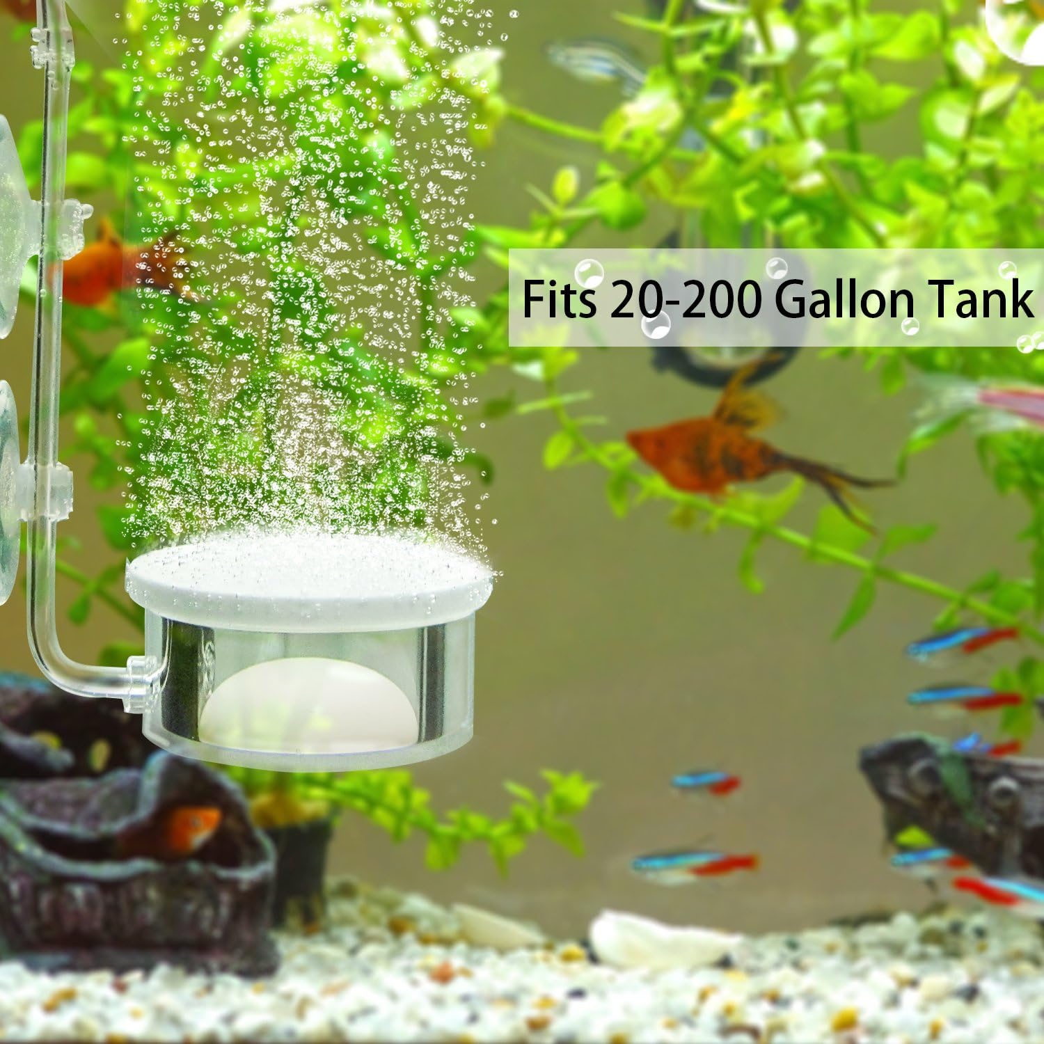 Mejorage Air Diffuser Aquarium, Air Stone Air Diffuser With Check Valve to Add Oxygen for Fish Tank