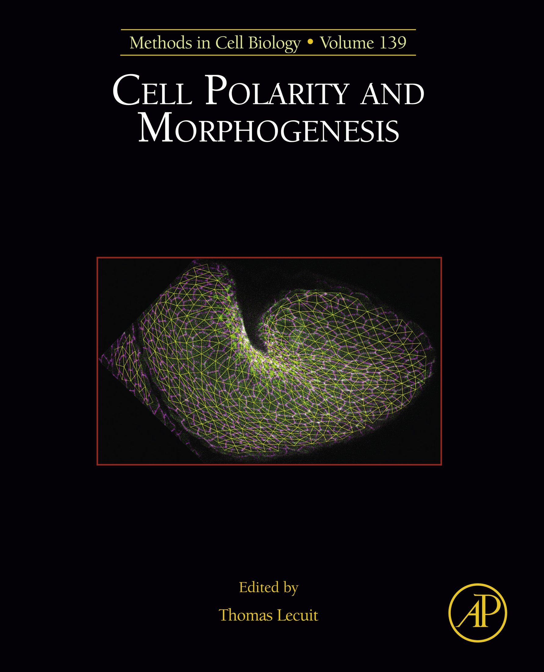 Cell Polarity and Morphogenesis (Methods in Cell Biology Book 139)