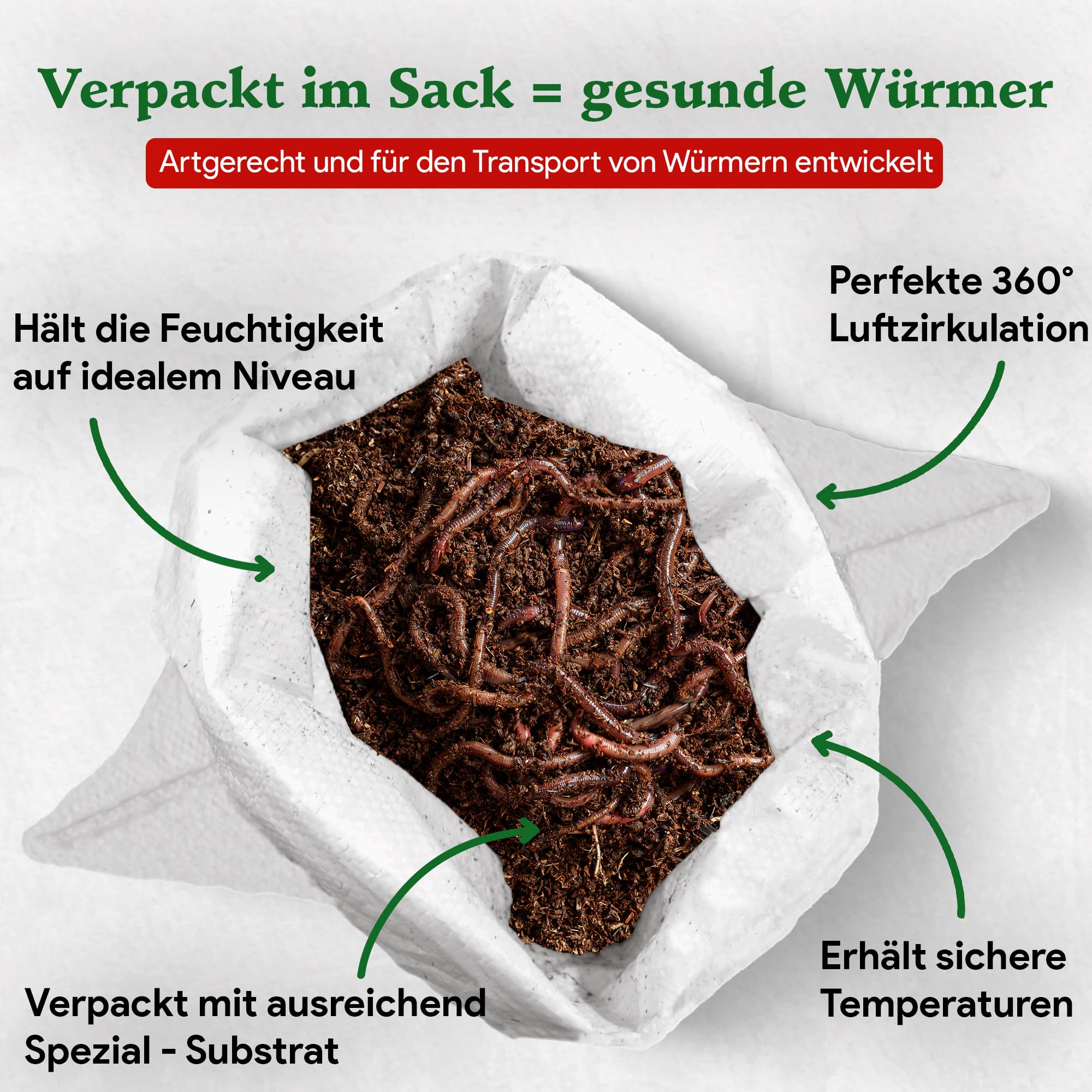 0,5 kg de vers de compost (min. 500 pièces) | Vers de terre, mélange Eisenia vivant pour compost, jardin, vermicomposteur, boîte à vers, plate-bande surélevée