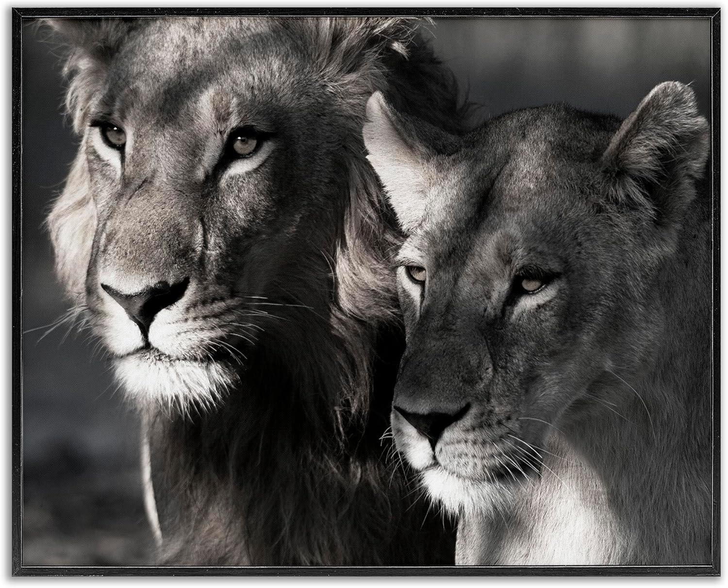 Stupell Industries Strong Lion & Lioness Framed Giclee Art Design by Danita Delimont