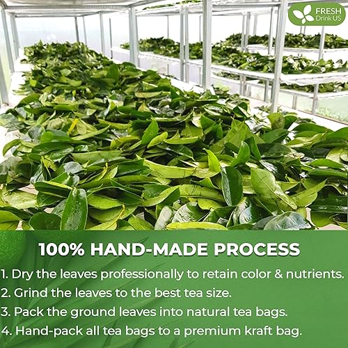 Miniatura 6 de FreshDrinkUS, 75 bolsas de té de hoja de graviola de guanábana premium, 100% natural y puro de hojas de guanábana, hechas a mano, hechas con