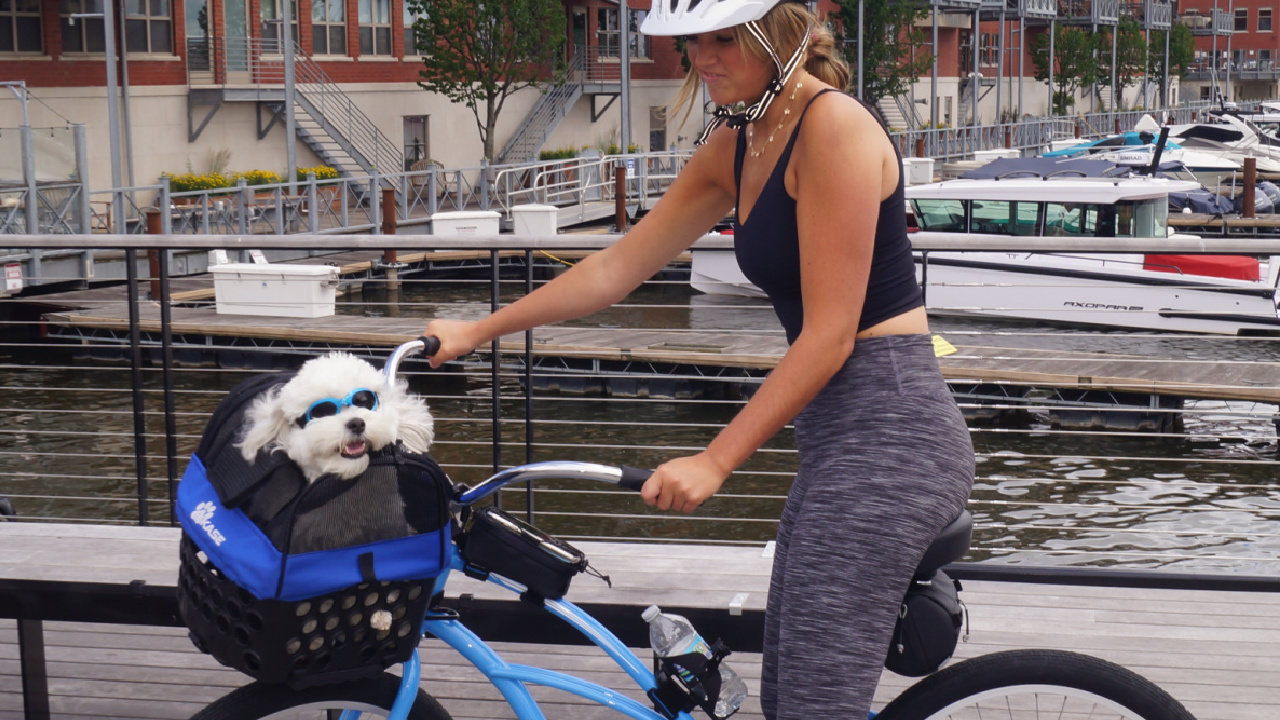 BiKase Dairyman Rear Basket Pet Kit - Image 6