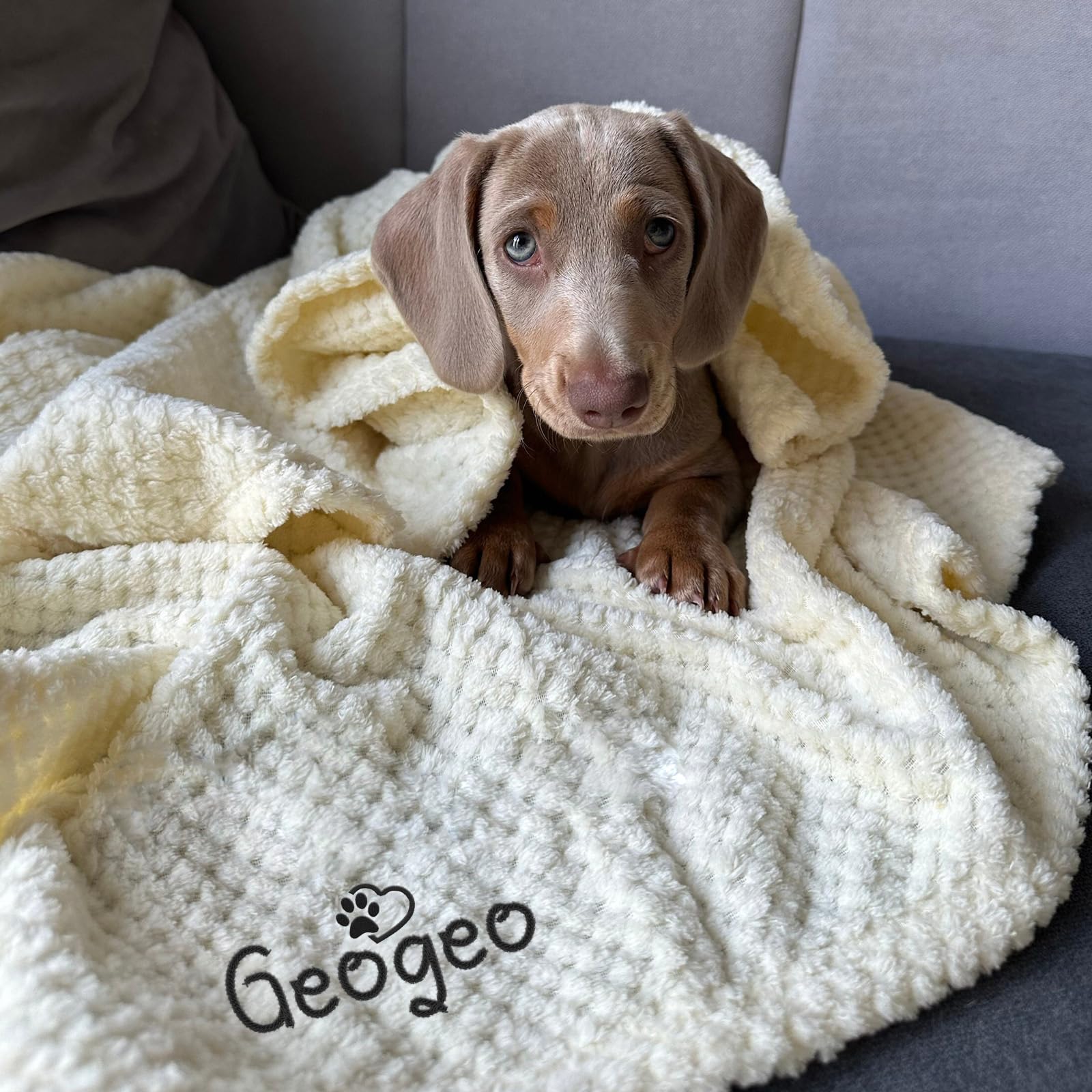 Personalized Embroidered Blanket with Name - Custom Pet Blanket Soft Comfortable for Small to Large Dog, Gift for Dog Lovers