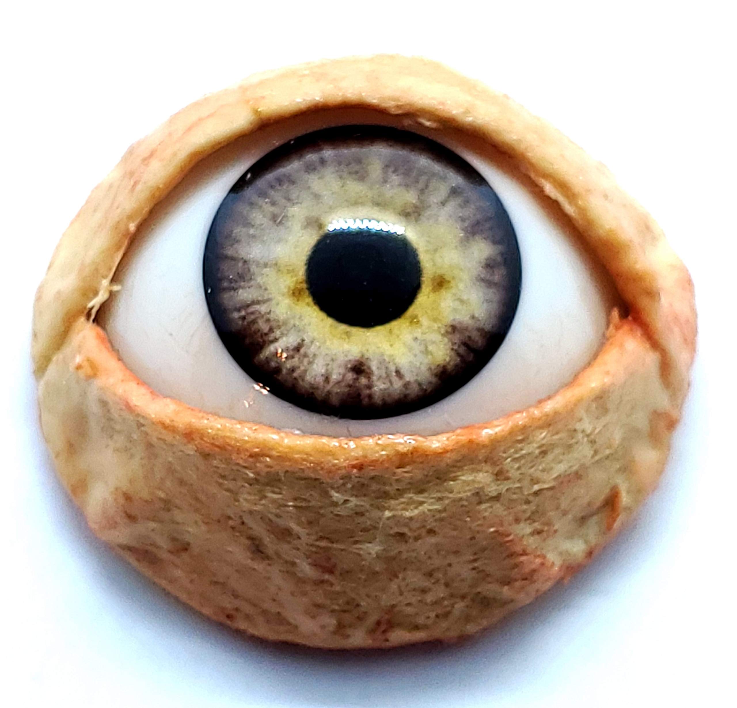 Realistic Life Size Acrylic Eye Dot for Halloween Props, Masks, Dolls, Crafts, Jewelry 1.25