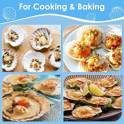 Miniatura 4 de 60PCS Large Scallop Shells for Crafts 4-5 inch Clam Shells for Decoupage Beach Natural White Seashells Bulk from Sea Beach for DIY Crafts Decorating