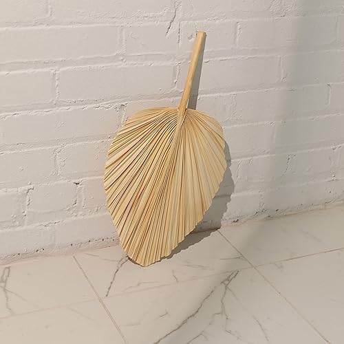 Miniatura 3 de 16 hojas de palma secas grandes de 18 x 10 pulgadas lanza de palma seca decoración de boda bohemia para el hogar decoración de boda tropical