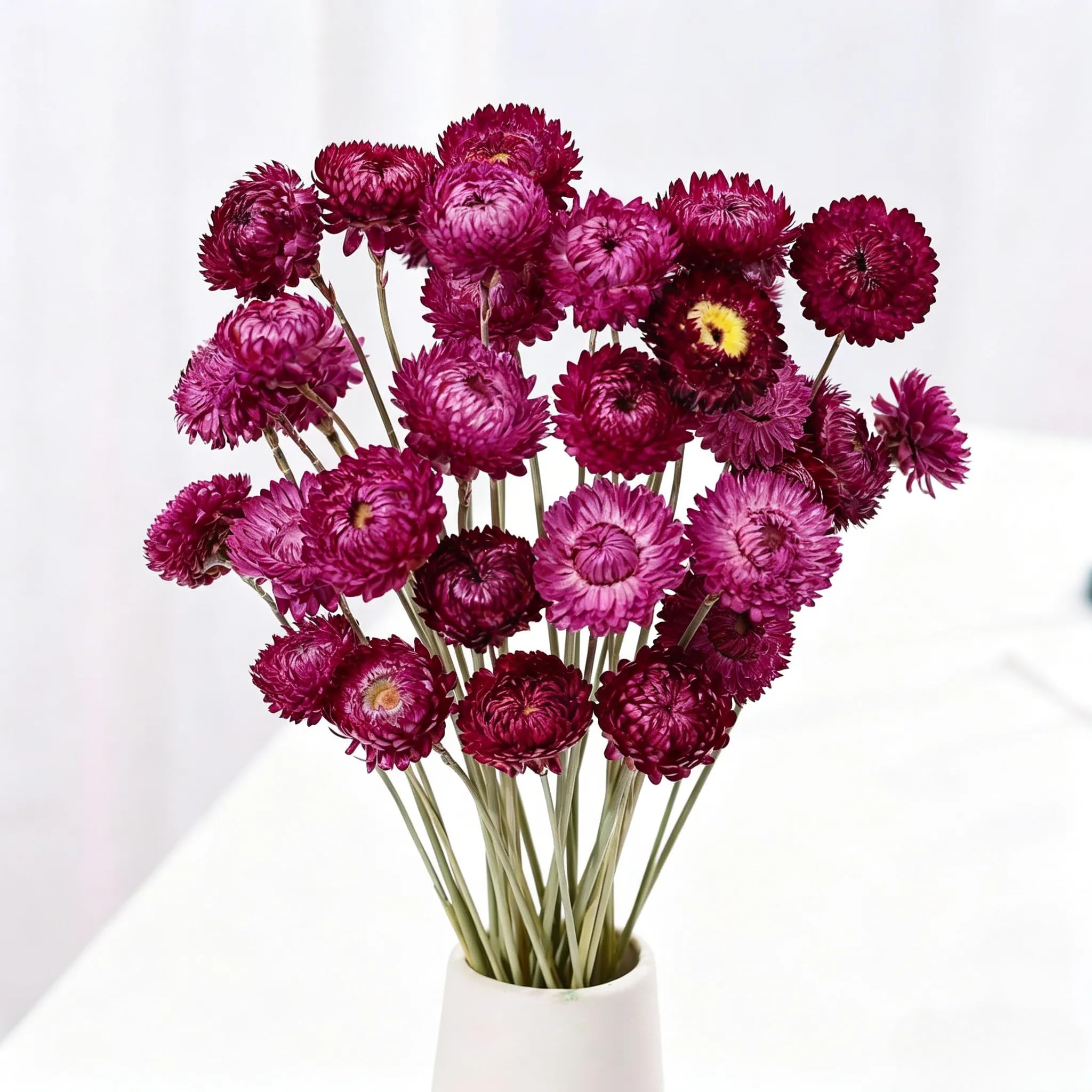 Sikweny 20 Pcs Dried Flowers, Dry Flowers Natural Dried Flower Bouquet, Daisies Living Room Decoration & Boho Decor for Vase Display DIY Crafts Table Centerpieces (Purple)