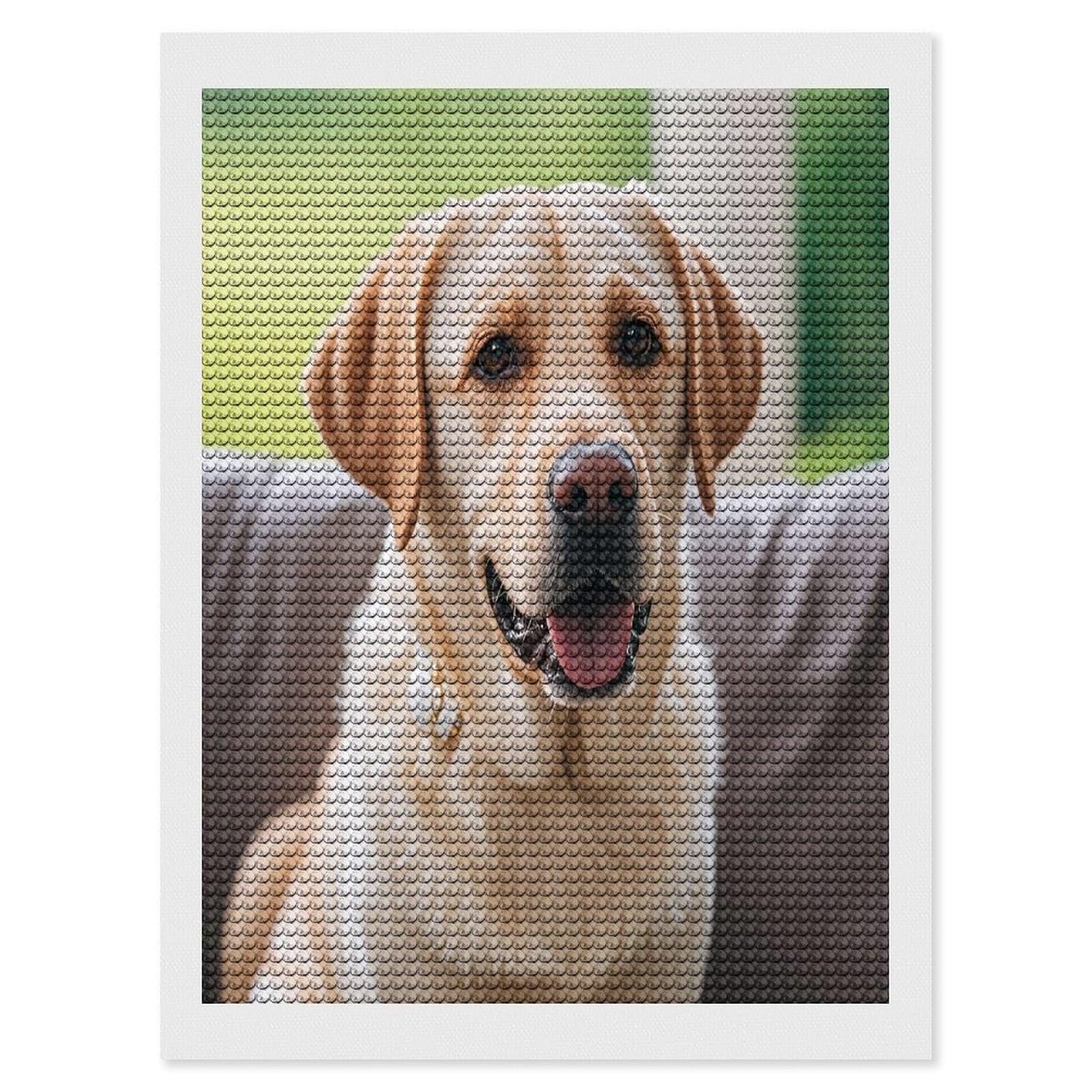 FekiLoot Cute Labrador Dog Diamond Painting Kits for Beginners DIY Diamond Art Kits for Adults Full Drill Round Diamond Dot Gem Art Painting Fun DIY Crafts for Home Kitchen Wall Decor Gift 12"x16"