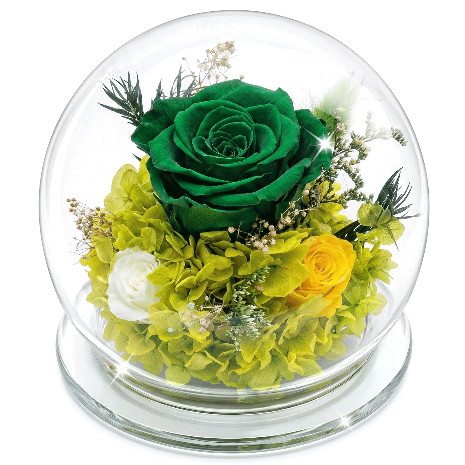 Mothers Day Birthday Gifts for Her Women Preserved Rose Forever Flower in Glass Dome Fresh Flowers Prime Valentines Day Anniversary Rose for Girlfriend Wife Sister Grandma (Green)