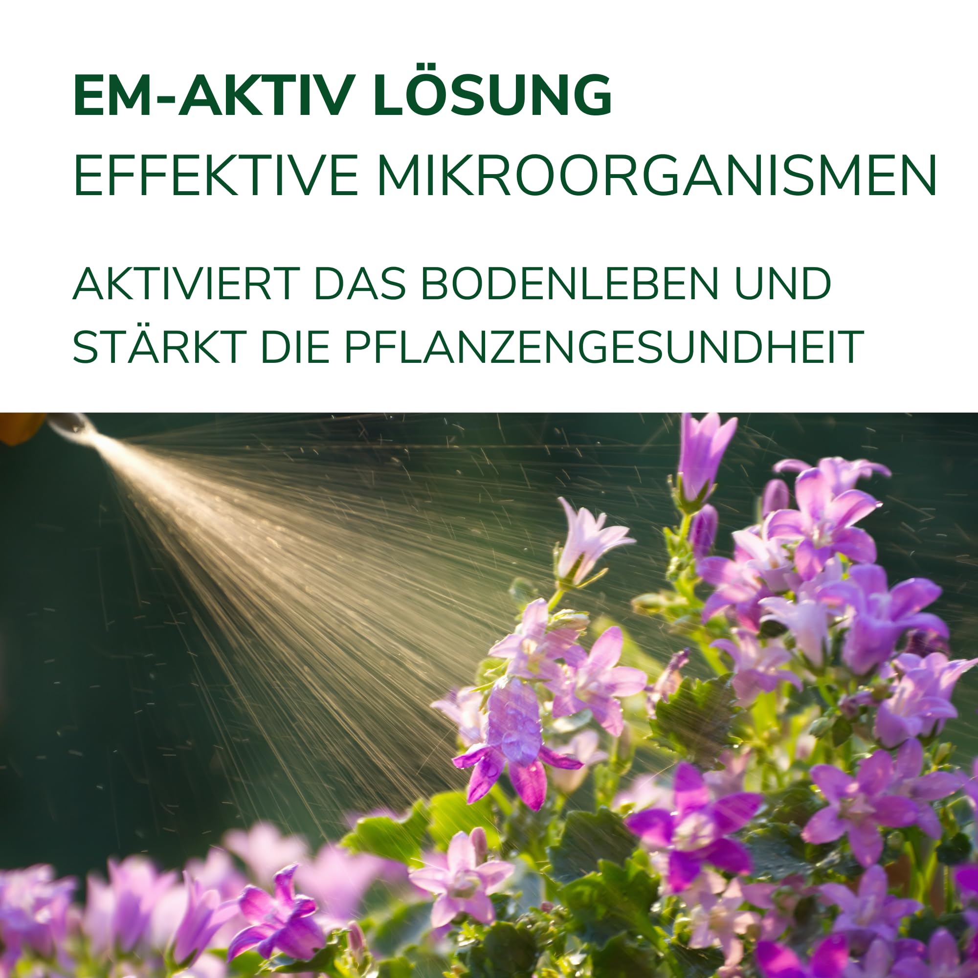Natursache EM-aktiv Lösung 5L - Effektive Mikroorganismen Bodenaktivator Geruchsentferner Wasseraufbereiter