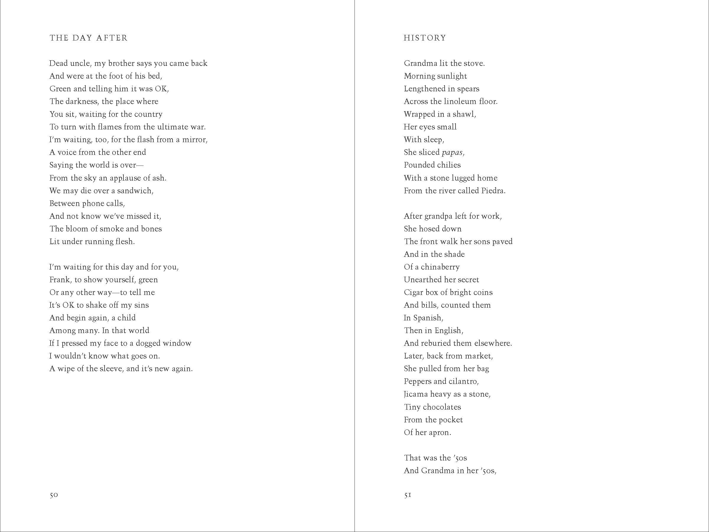 The Elements of San Joaquin: poems (Chicano Poetry, Poems from Prison, Poetry Book) - Image 5