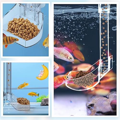 Miniatura 6 de Juego de platos de alimentación de camarones para peces de acuario, tubo y plato de alimentación de peces transparentes con cepillo de limpieza y