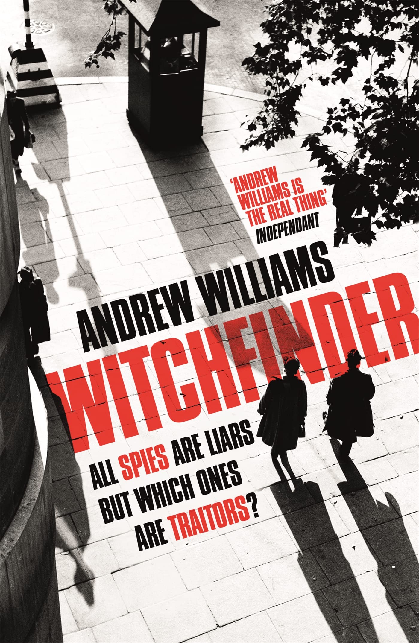 Witchfinder by Andrew Williams PAPERBACK 9781473631786