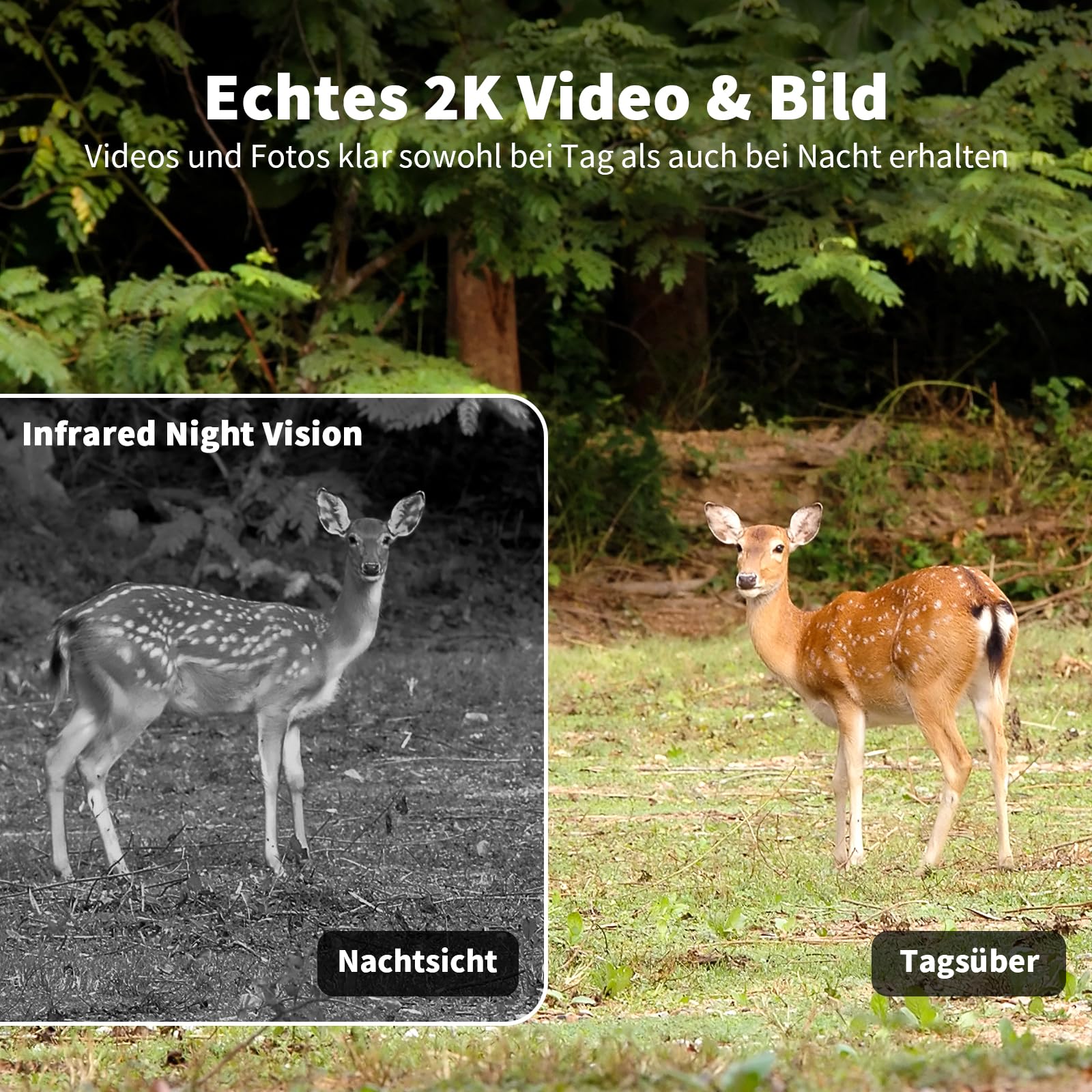 4G LTE Wildkamera mit SIM Karte, 2K Solar Wildtierkamera mit Handyübertragung App, Kabellos Überwachungskamera Aussen Akku mit Farbnachtsicht, PIR-Erkennung, 2-Weg-Audio, IP66 Wasserdicht
