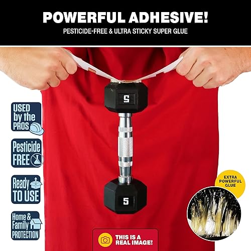 Miniatura 2 de Trampas para araña no tóxicas