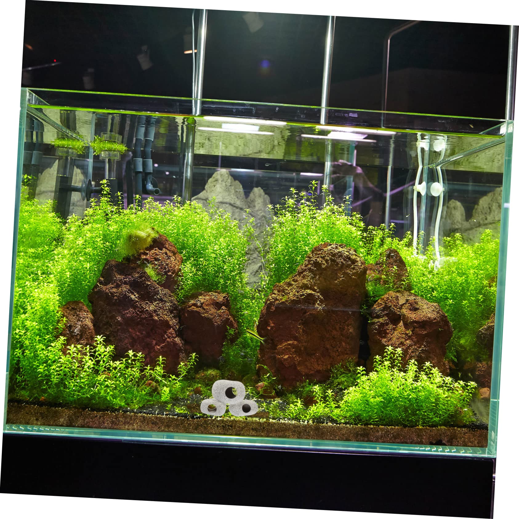 Sosoport 5stücke Aquarium Dekoration Versteck Für Fische Und Garnelen Lifelike Höhle Für Fischbecken Als Rückzugsmöglichkeit Und Für Aquarienbewohner