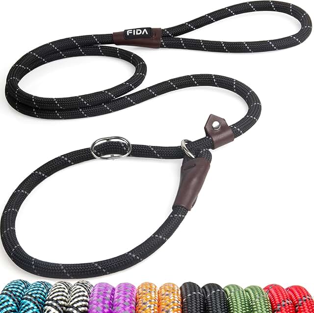 Fida Slip Lead Dog Leash