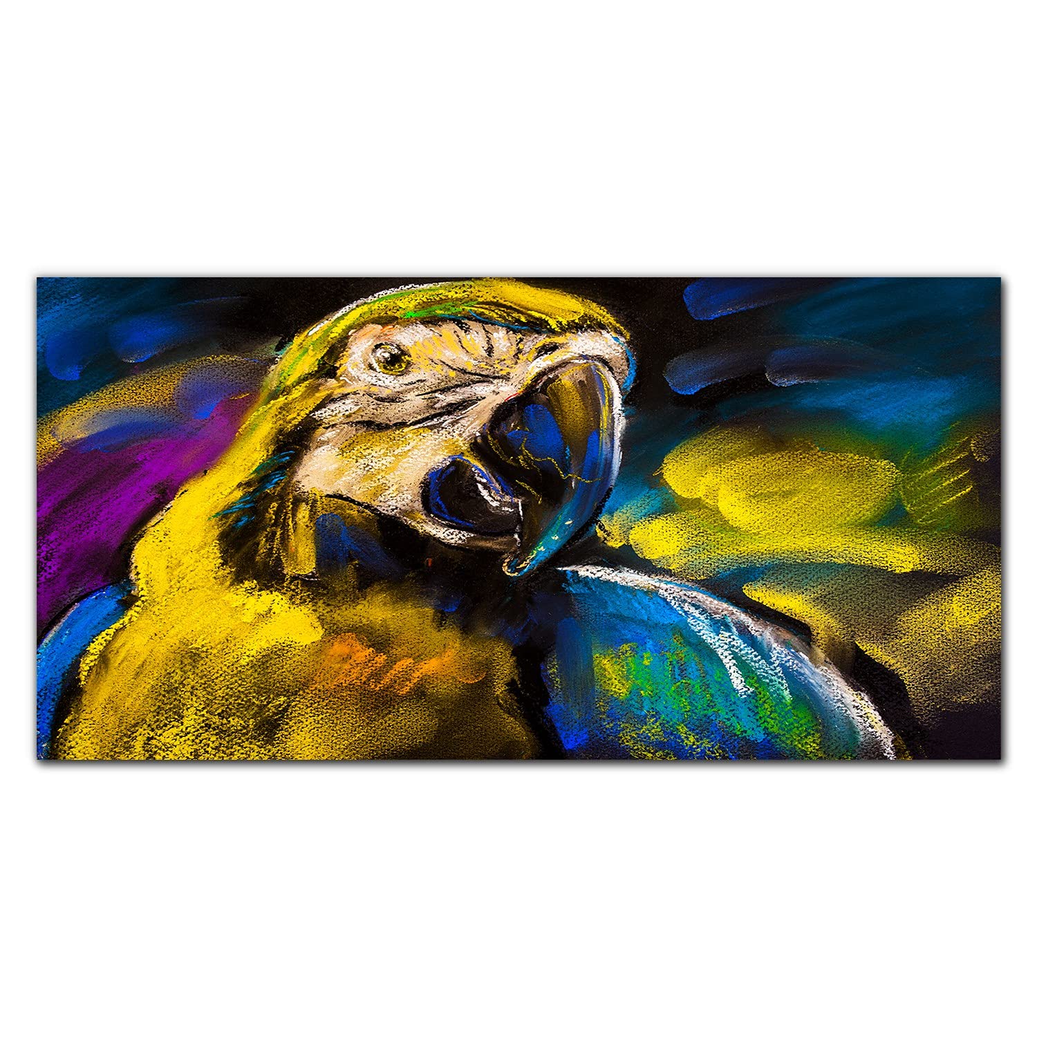 Crédence de cuisine en verre trempé 100x50 cm motif perroquet animal