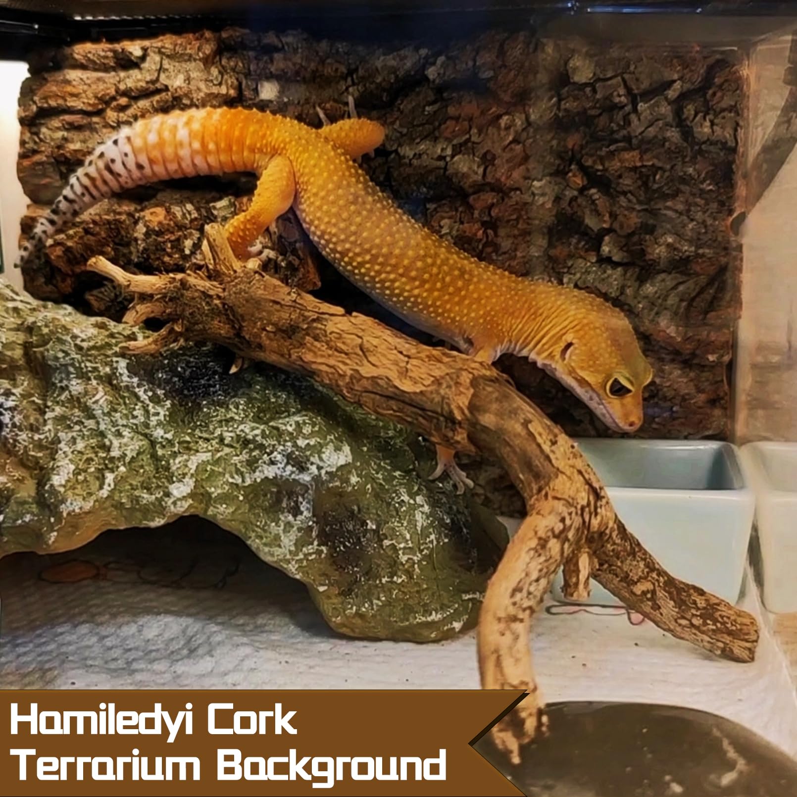 View 4