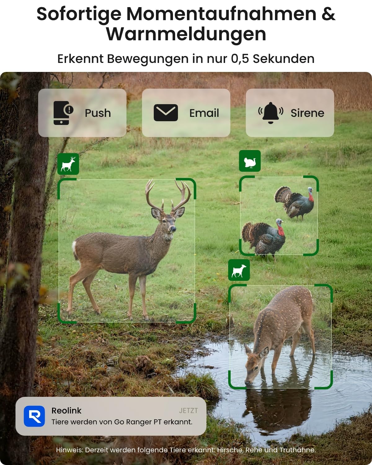 Reolink Go Ranger PT 4K 3G/4G LTE PTZ Überwachungskamera Aussen mit SIM-Karte Nachtsicht