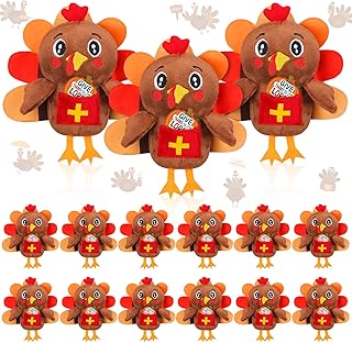 16 Packs Thanksgiving Fall Turkey Plush Toys with Thankful Cards Bulk for Kids Mini Religious Plush Stuffed Animal Fall Goodie Bag Fillers Sunday School Church Party Favors