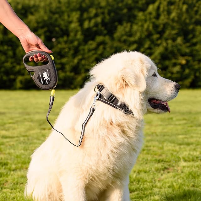 Foto 4 de 6 de Ferplast Correa Extensible Reflectante para Perros Flippy One Reflex