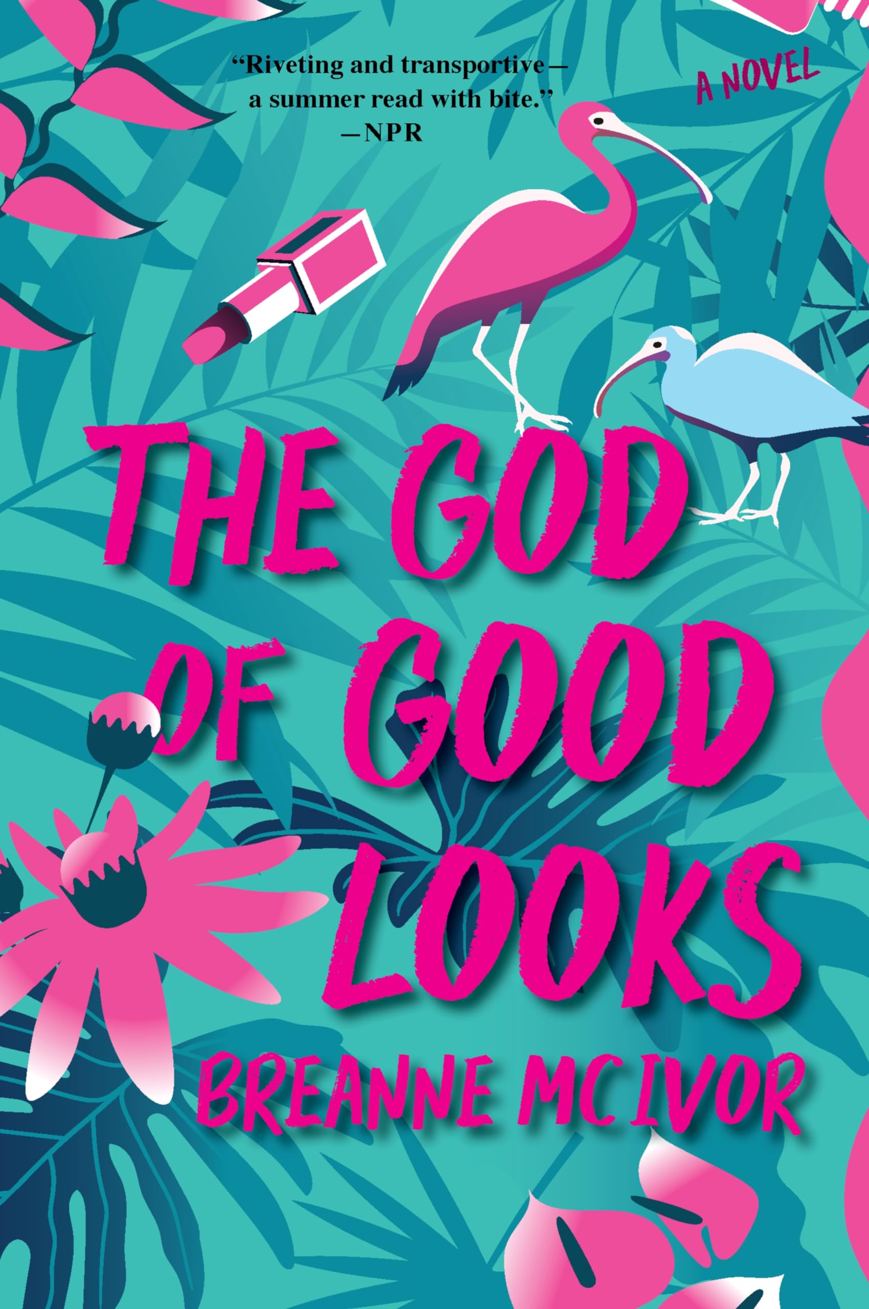 The God of Good Looks: NPR Best Book – A West Indian Romantic Comedy About Second Chances in Trinidad