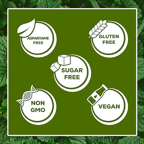 Miniatura 6 de XyloBurst Goma de mascar de té verde sin azúcar, con xilitol natural, bolsa de 500 unidades a granel, sin OMG, vegano, sin aspartamo, apto para