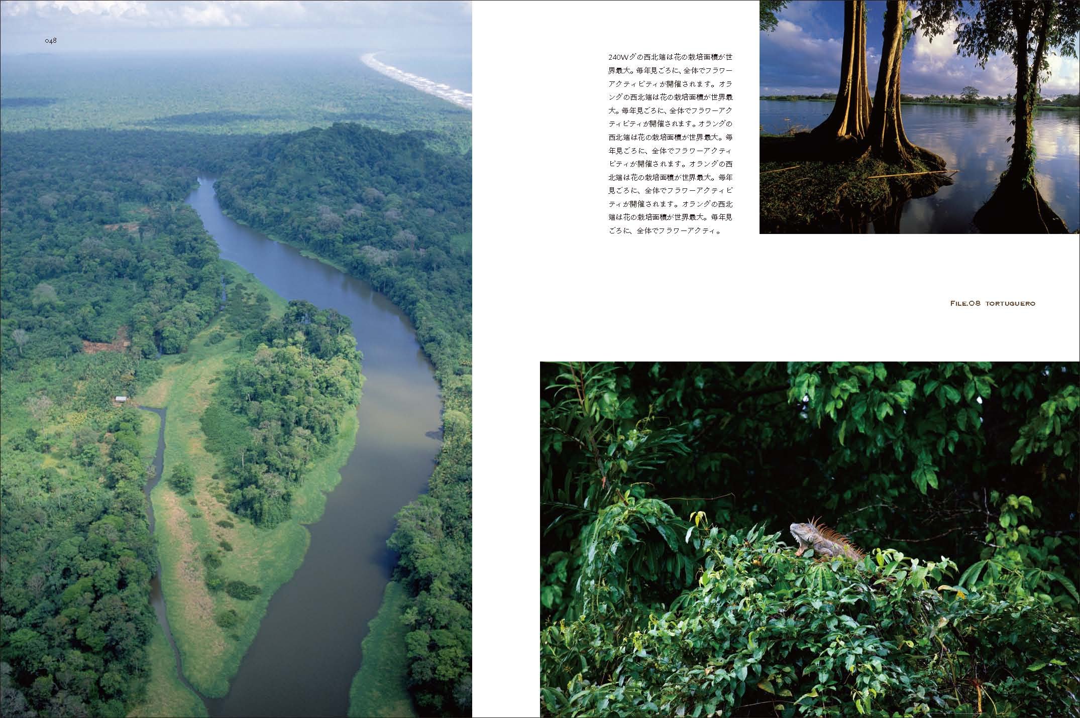 世界で一番美しい森への旅 配送料無料