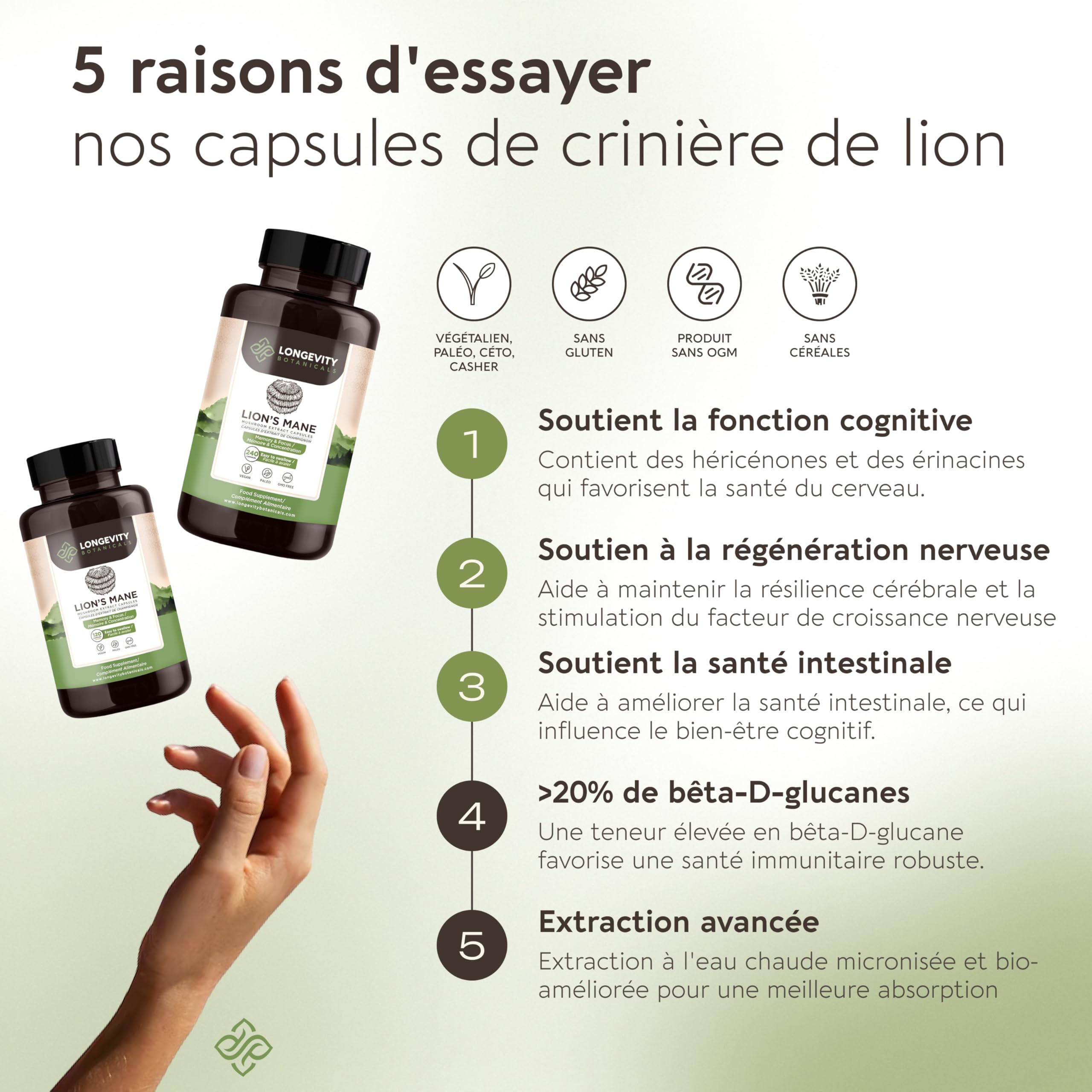 Gélules Crinière de Lion (Lion’s Mane) x120 | Extrait Puissant 8:1 de Champignon Corps Fructifère Pur | 20% Bêta-D Glucanes | Équivalent Brut 7200mg par Portion | Soutien Mémoire Intestin & Cerveau