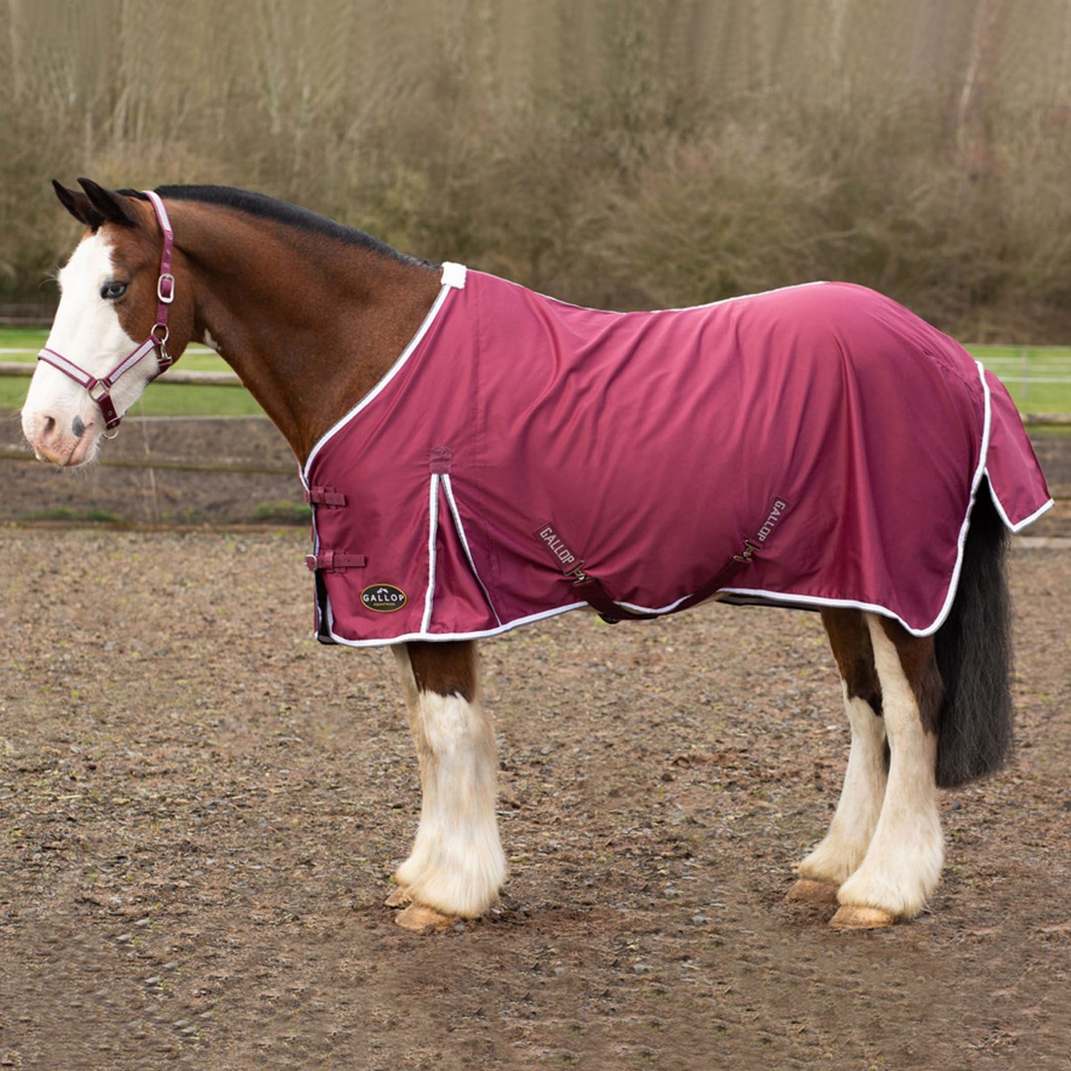 Gallop Cotton Summer Sheet For Horse Pony Equestrian (5'6", Burgundy)