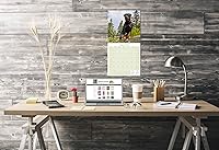 Vista 1269 de Razas de Perros 2017