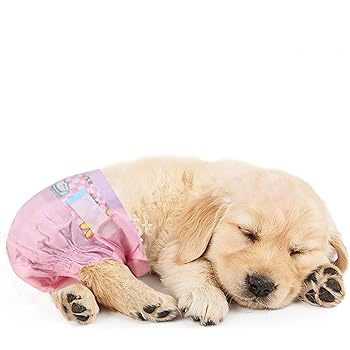 doggie diapers for female dogs