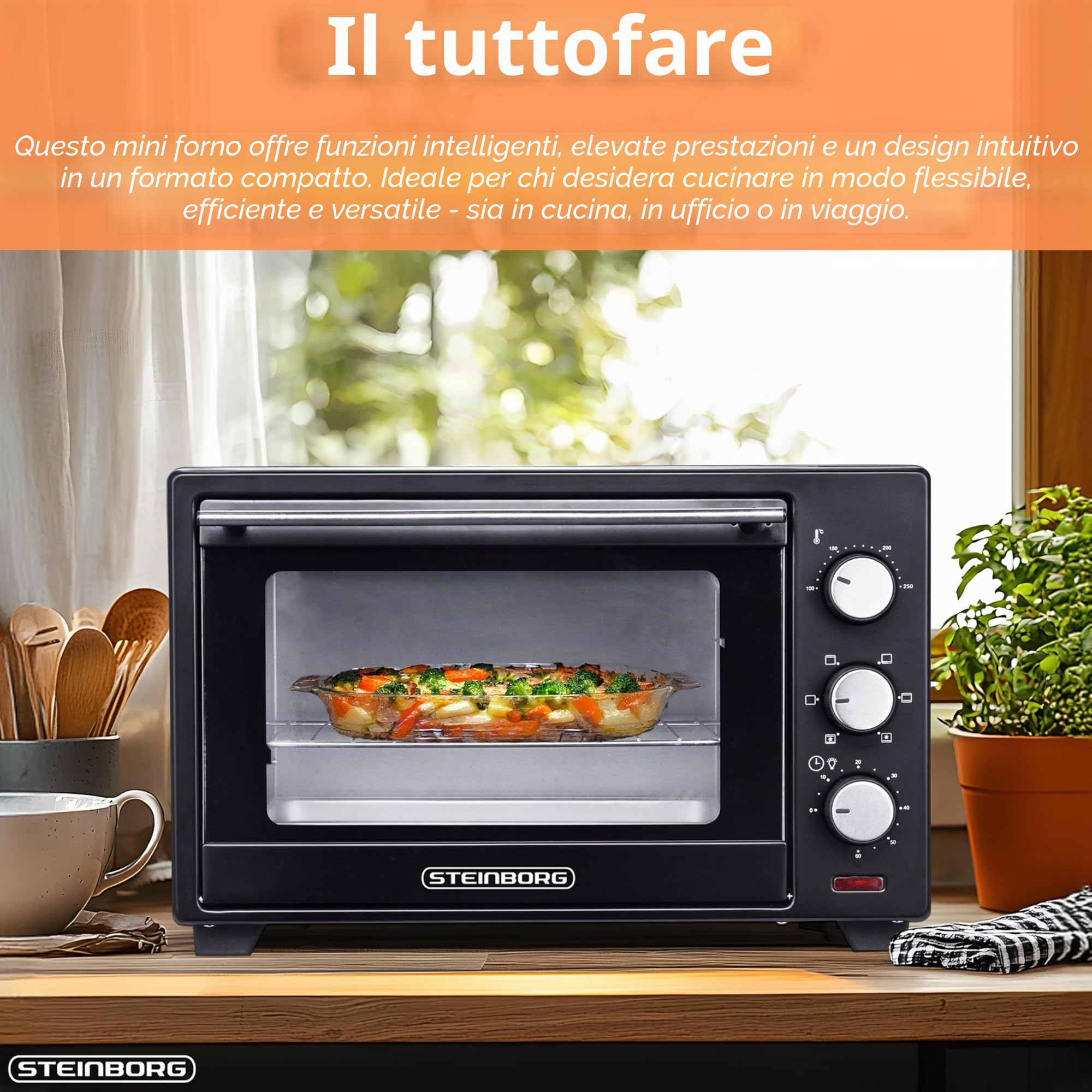 STEInBORG Mini Forno 25 Litri | 3 in 1 per Pizza | Teglia per Briciole | Calore Superiore/Inferiore | Convezione | 60 Minuti | 1.600 Watt