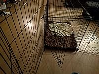 Review Image by MightyDwighty MightyDwighty