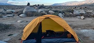 Review Image by Allison Allison