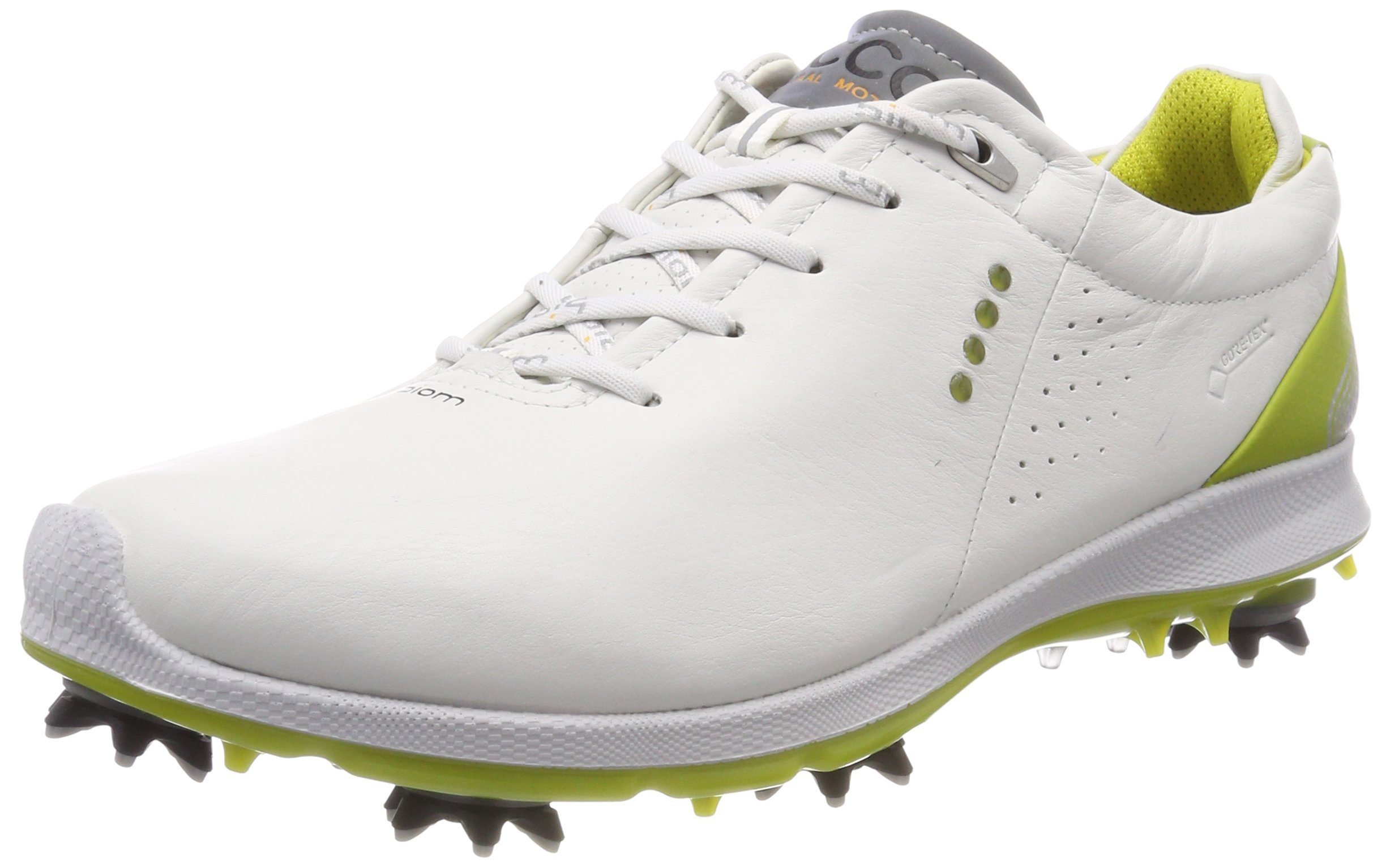 ECCO Men's Biom G2 Free Gore-Tex Golf Shoe