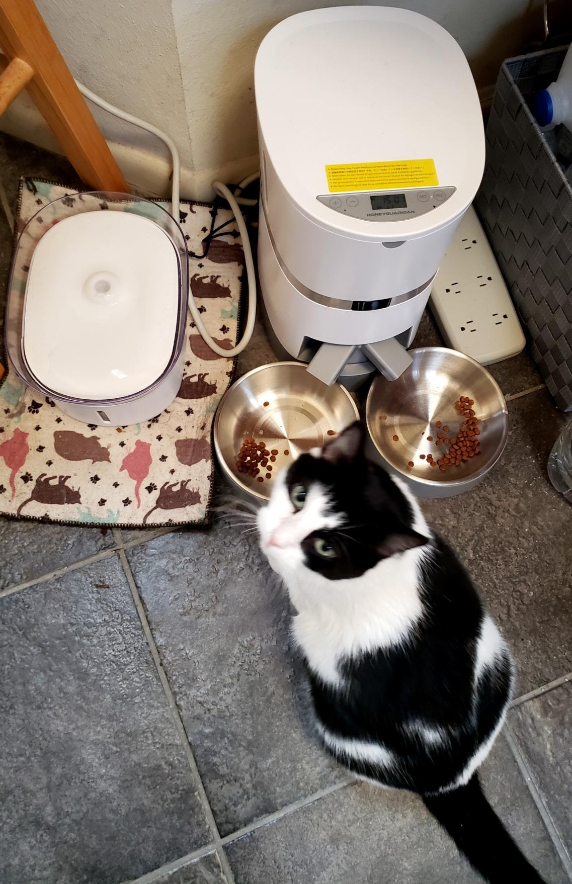 Pet Supplies HoneyGuaridan A36&A68 Automatic Pet Feeder TwoWay