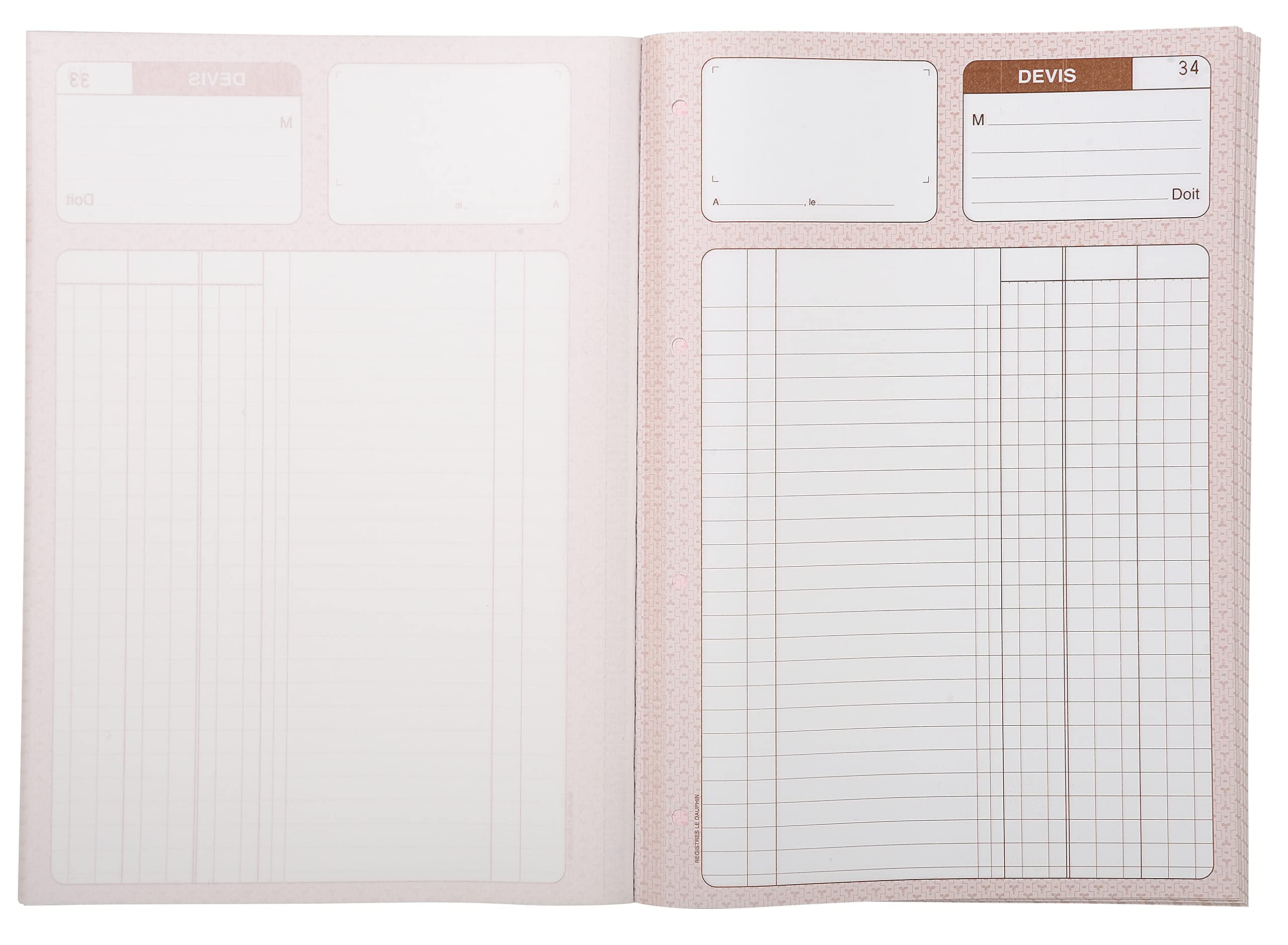 Manifold Factures Micro-Entrepreneur Le Dauphin – 50 Duplicatas Autocopiant – Format 21x14,8 Cm – Lot De 2 Carnets