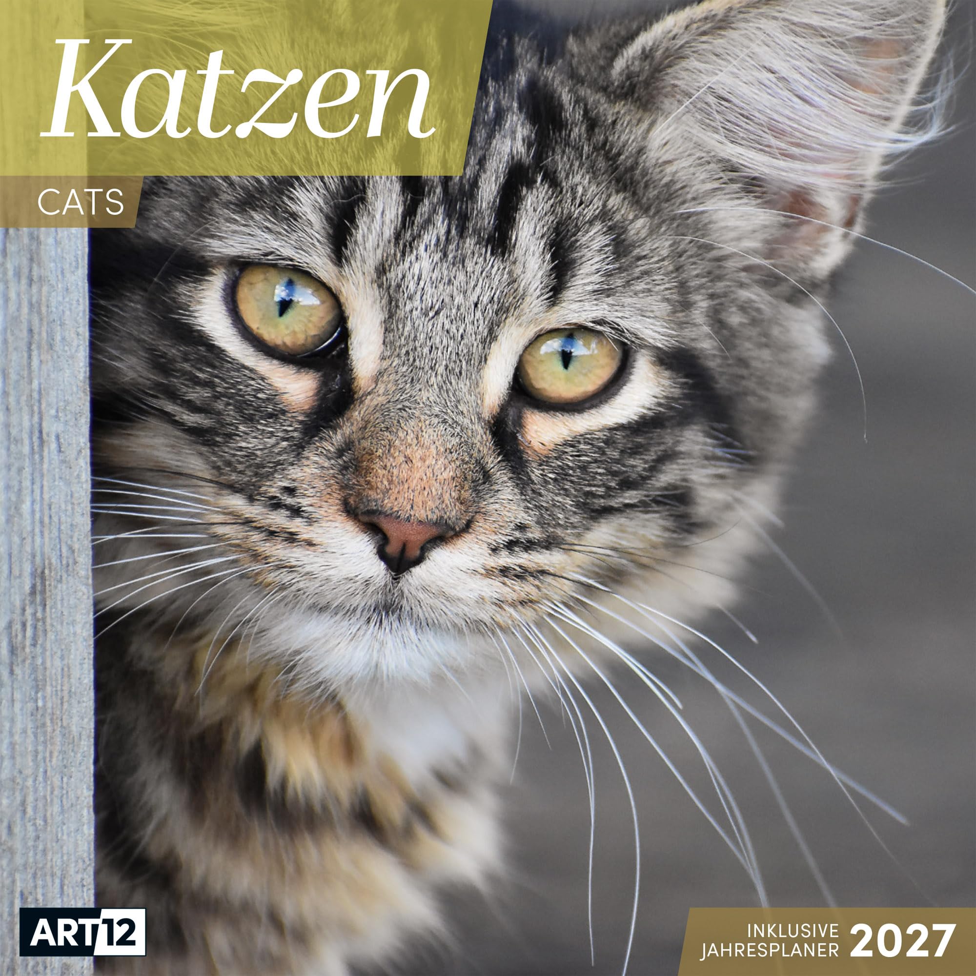 Katzen Kalender 2027 - 30x30 - Art12: Niedlicher Tier-Kalender im schlanken Hochformat (aufgeklappt 30x60 cm) | mit Eintrage-Kalendarium