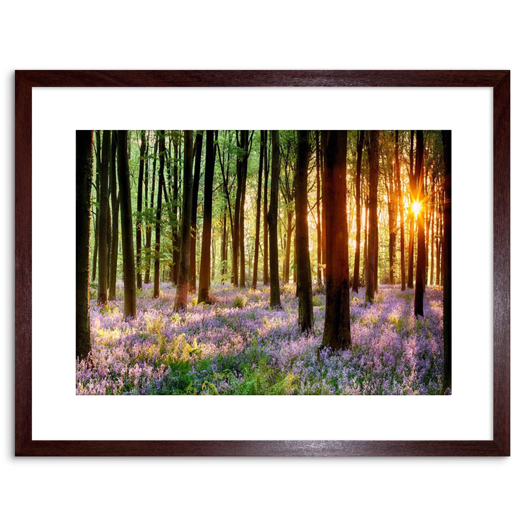 Wee Blue Coo Bluebell Wood Sunrise Trees Photo Framed Wall Art Print