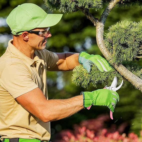 Premium Garden Shears, Curve Garden Scissors for Plant, Tip Pruning Shears for Cutting Flowers, Hedge Shears for Cutting Flowers Trimming Plants Bonsai Fruits Picking