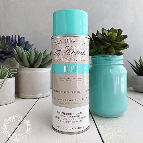 Miniatura 4 de AMY HOWARD AT HOME Pintura en aerosol para laca de nitrocelulosa, paquete de 2 unidades, 12 onzas, laca en aerosol con acabado brillante para