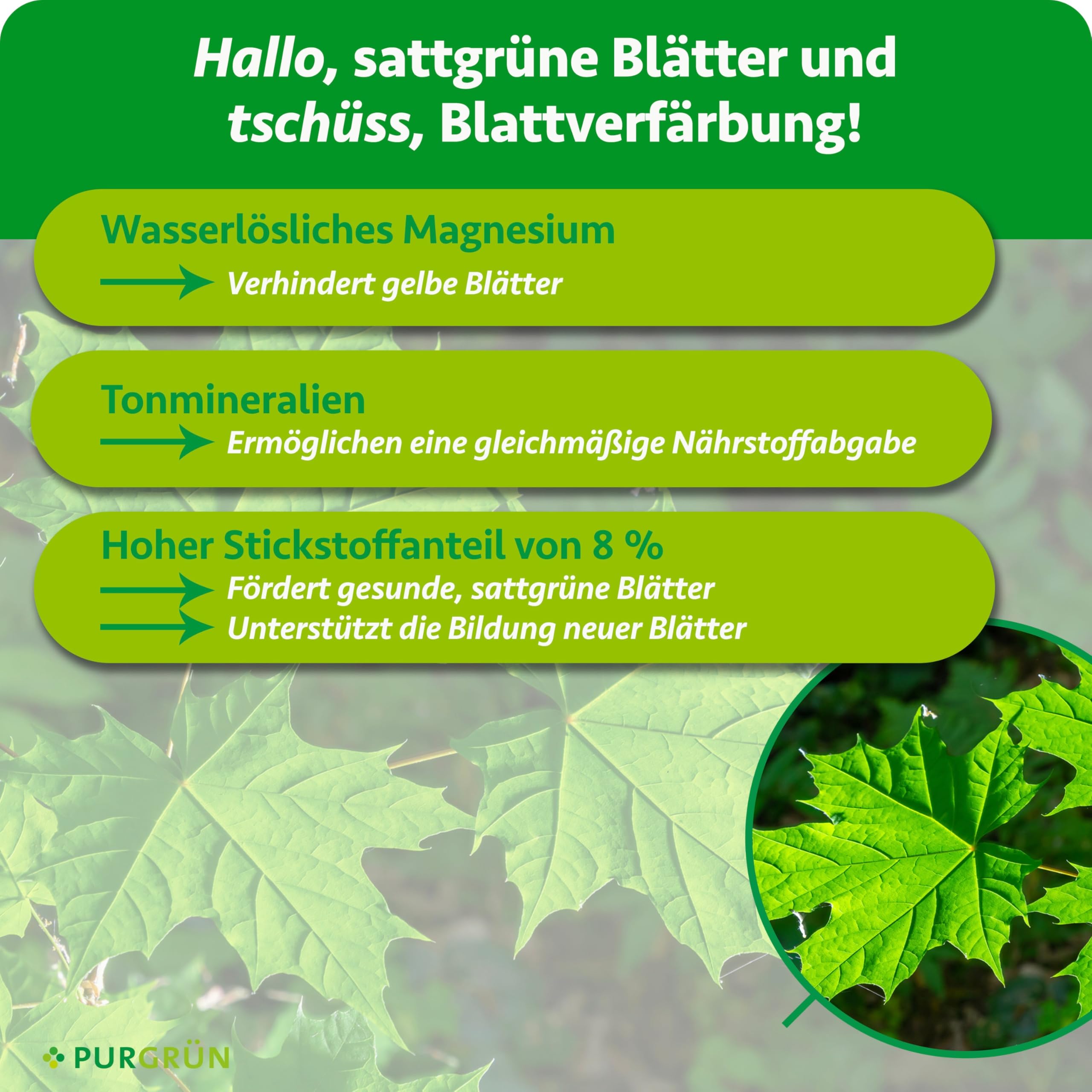 Kugelahorn-Dünger 1 kg – Organisch-mineralische Rezeptur – Feinkörniges Krümelgranulat – NPK 8+4+5 – Extra Magnesium für eine leuchtende Blattfärbung – Verbessert die Bodenqualität