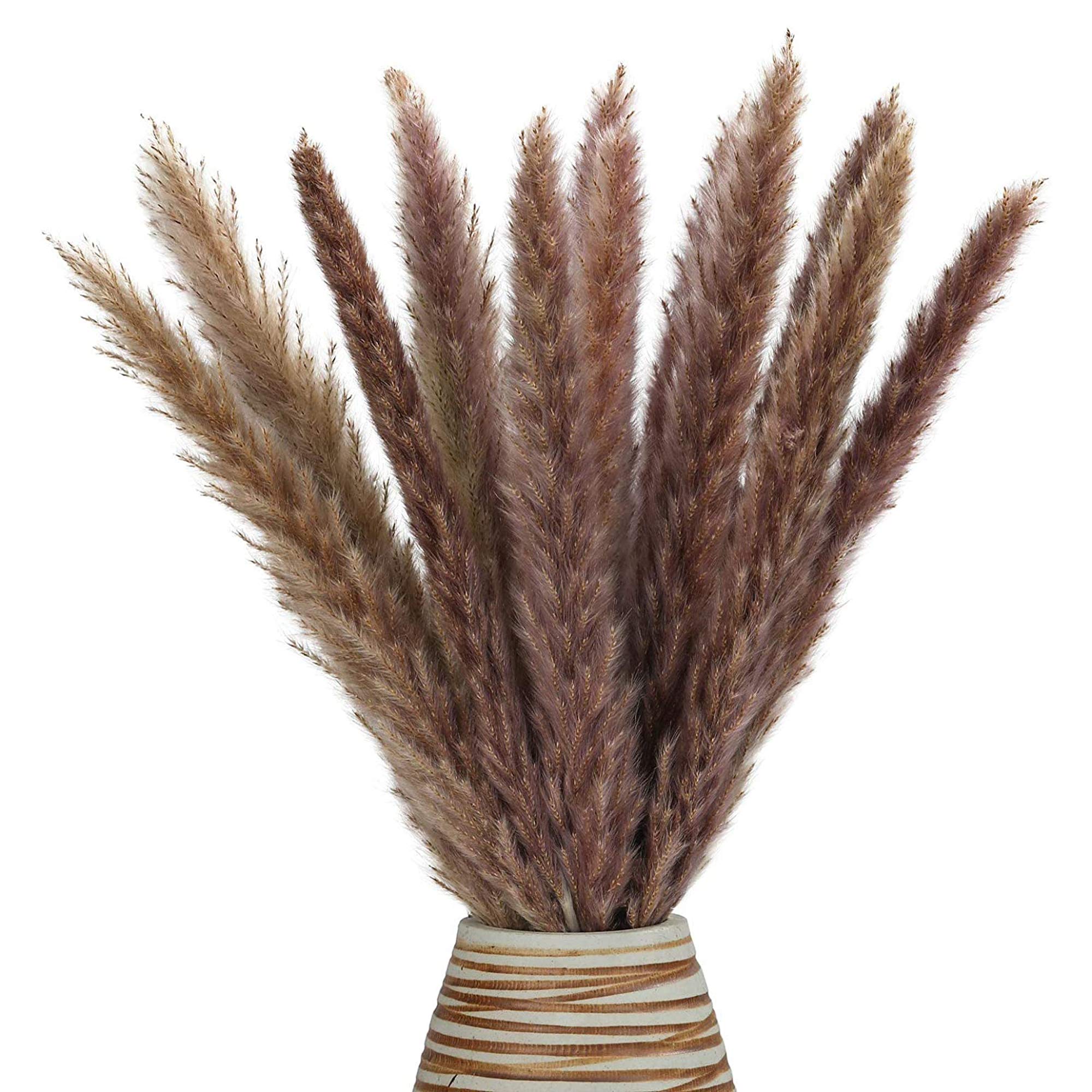 Dried Pampas Grass Decor Tall - 45cm Natural Dried Pampas Grass 30 Pcs Bouquet for Wedding Floral Arrangements Home Decorations-picture-19