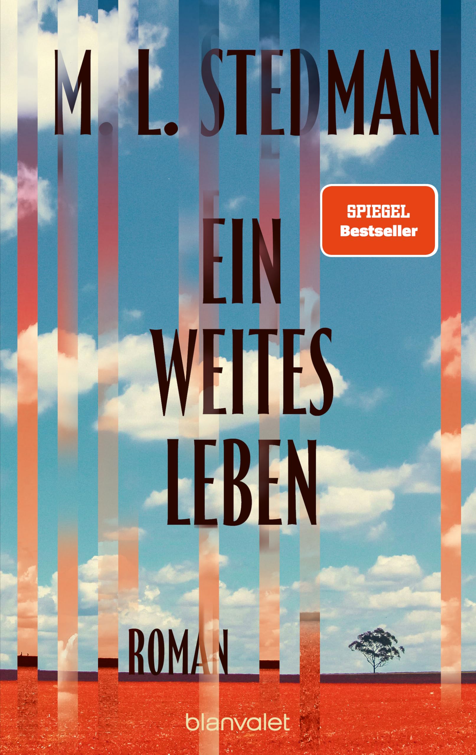 Ein weites Leben: Roman - »Ein Wahnsinnsschmöker für den Urlaub!« Elke Heidenreich