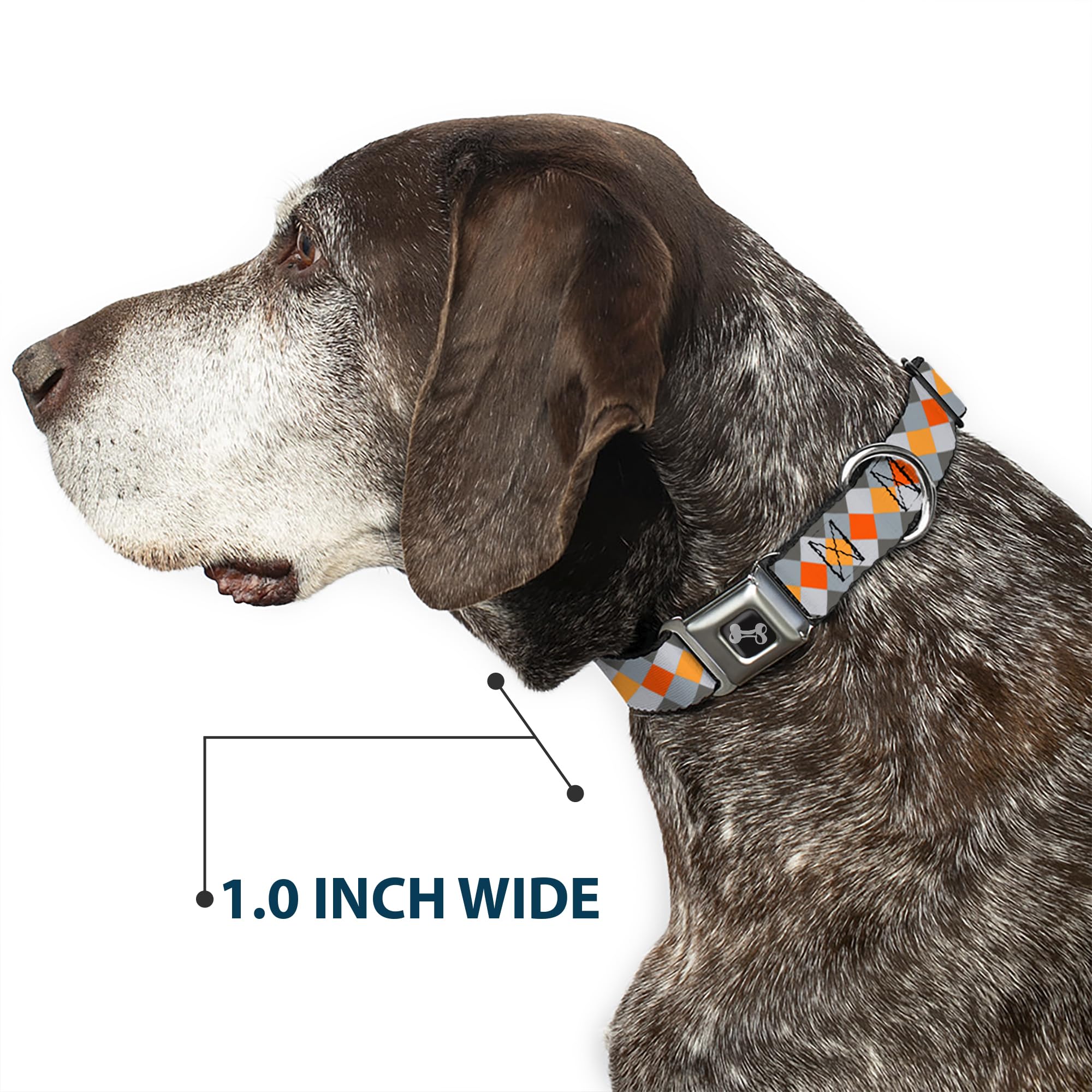 Buckle Down Diamante Plaid Grays/Arancio Collare Osso, Wide Small/13 – 45,7 cm