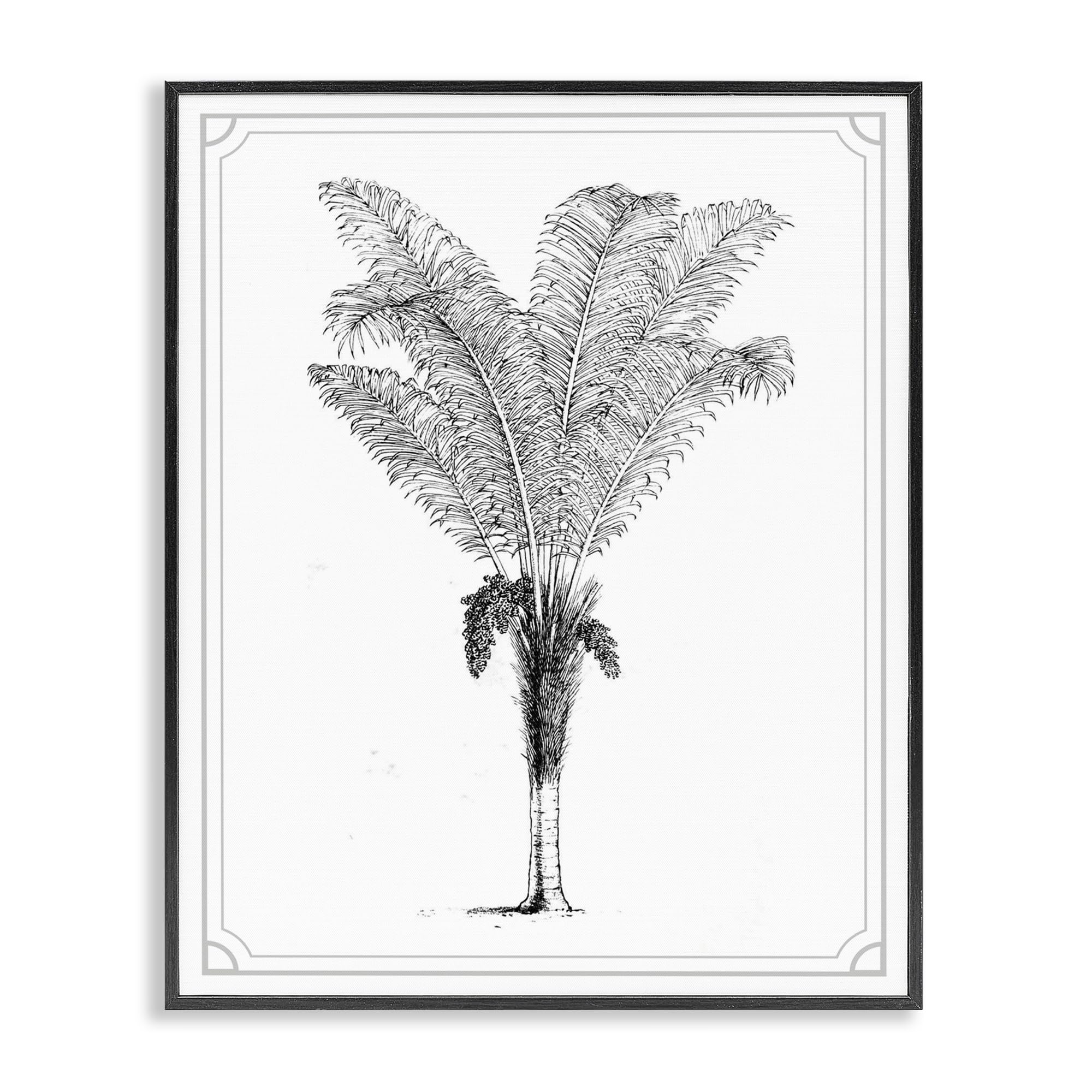 Art vintage minimaliste palmier giclée 50x40 cm Cadre Noir Stupell